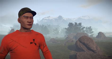 rust devblog.